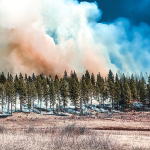 Smoke billowing from timber into blue sky