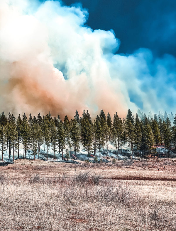 Smoke billowing from timber into blue sky