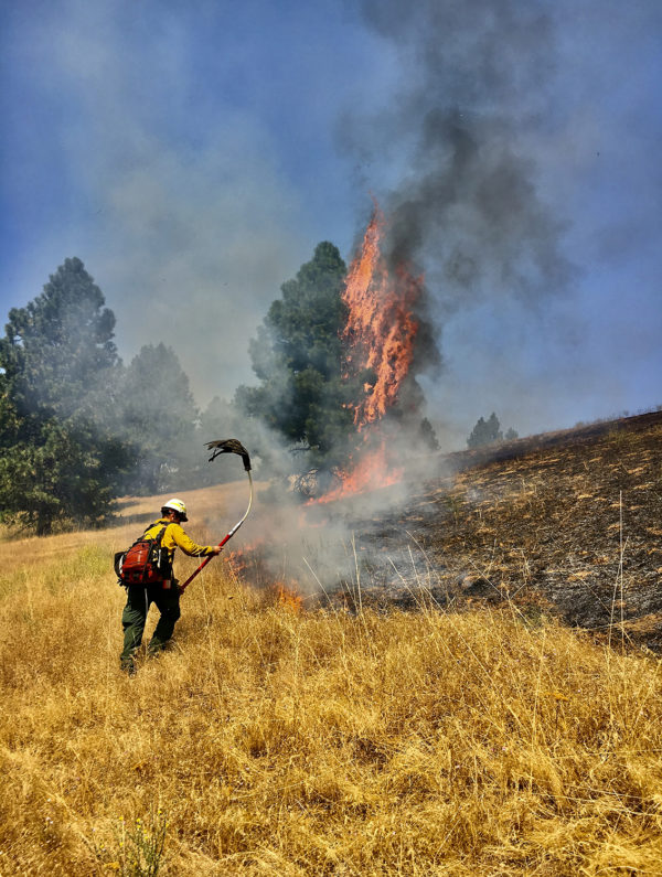 Wildland firefighter torching a field