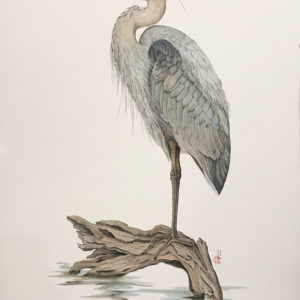 Great Blue Heron standing on a piece of driftwood in water.
